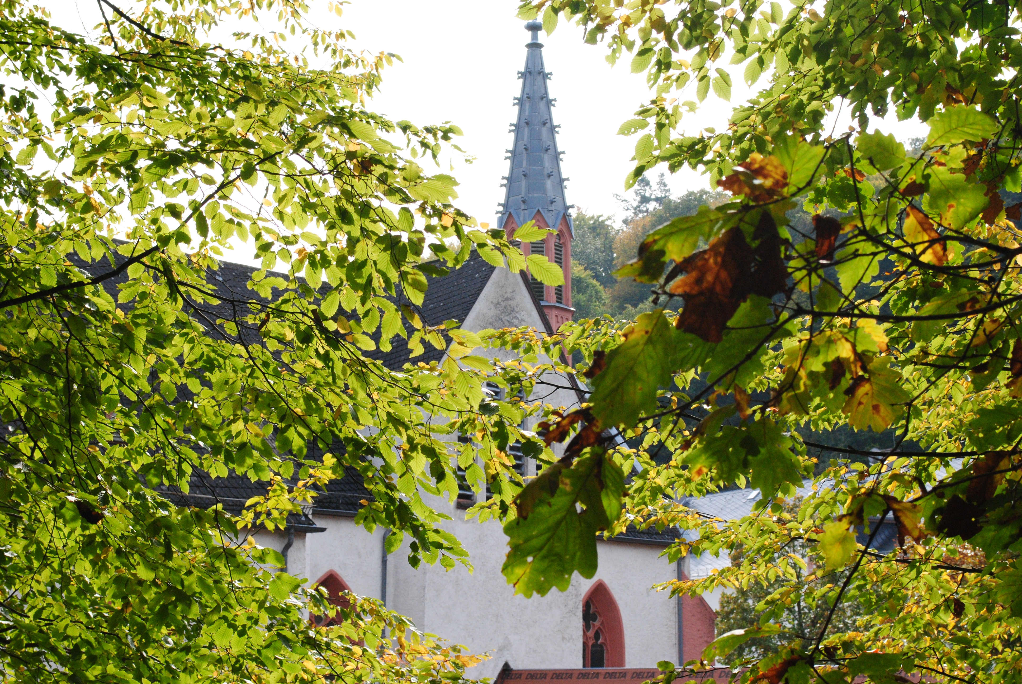 Kloster Mariental zwischen Blättern eines Baumes