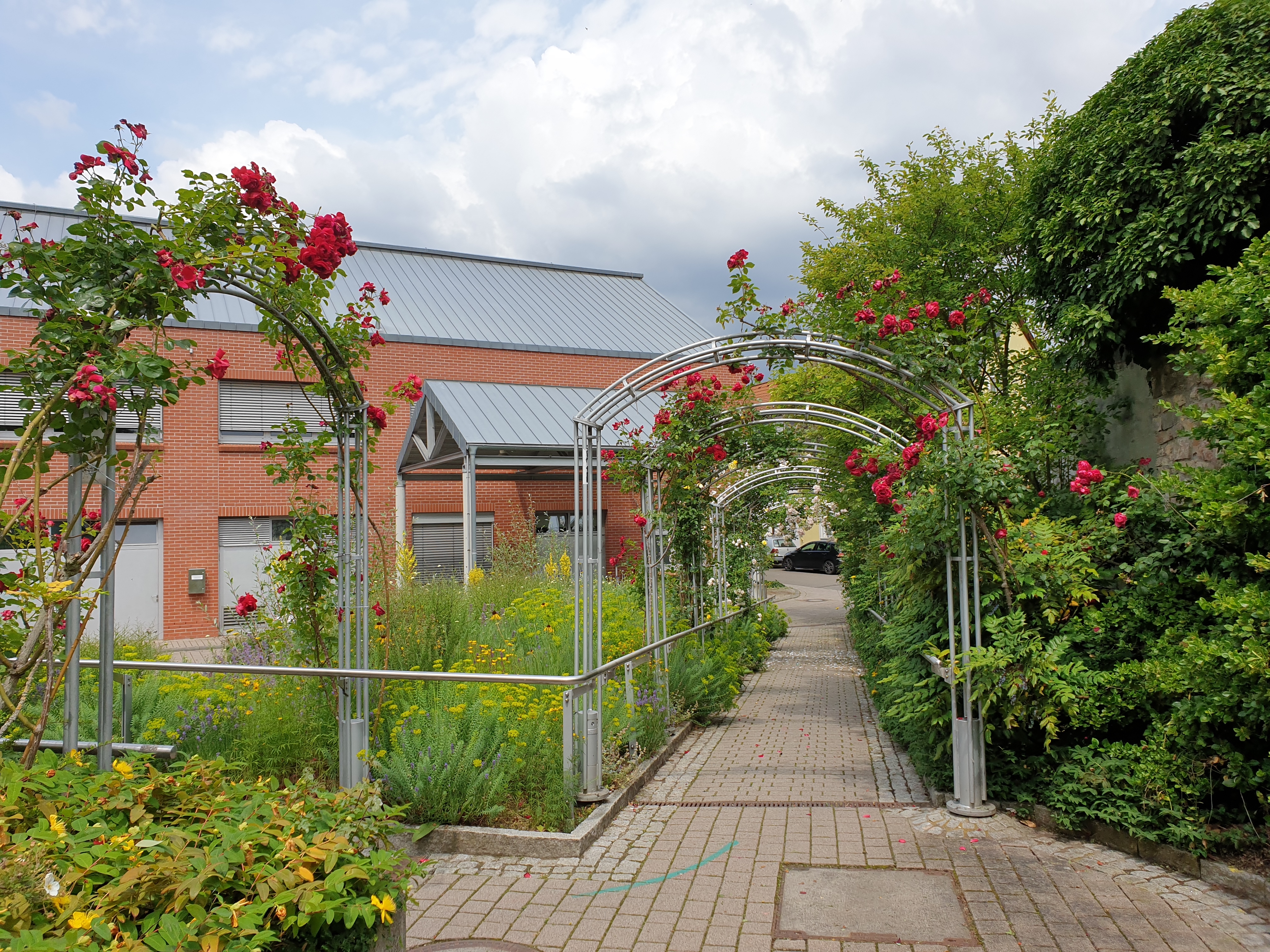 Park der Hochschule Geisenheim