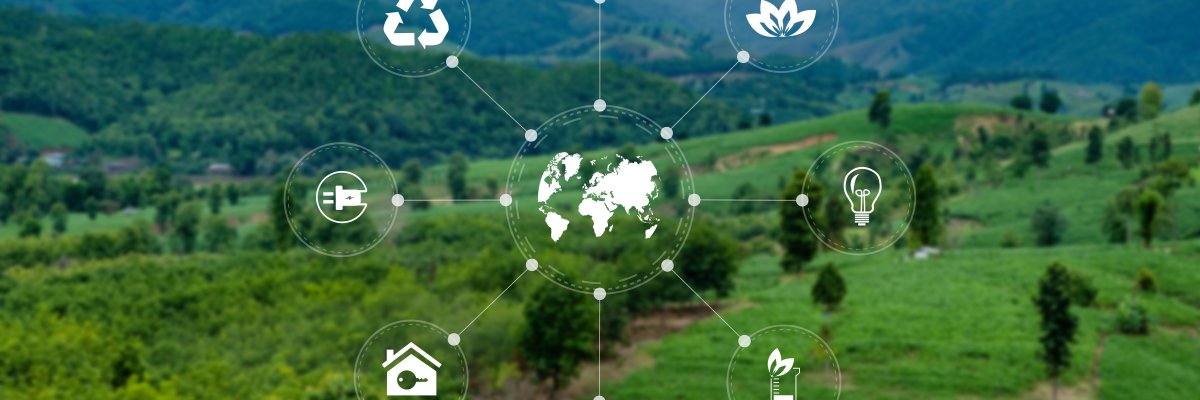 Team Business energy use, sustainability Elements energy sources