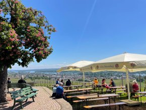 Weinprobierstand Goetheblick Schloss Johannisberg