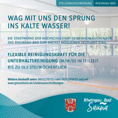 Anzeige Reinigungskraft