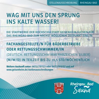 Anzeige Rettungsschwimmer